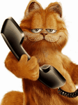 pic for Garfield on Phone